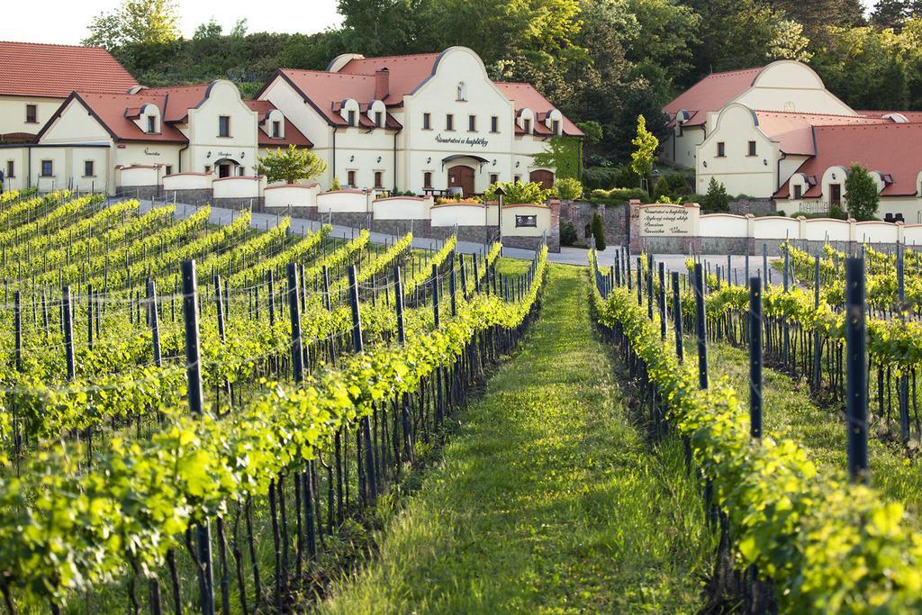Zaječí Vinarstvi U Kaplicky酒店 外观 照片